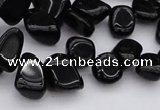 CCH640 15.5 inches 6*8mm - 10*14mm black agate chips beads