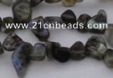 CCH642 15.5 inches 6*8mm - 10*14mm labradorite chips beads