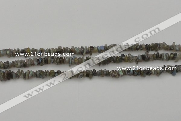 CCH645 15.5 inches 4*6mm - 5*8mm labradorite chips beads