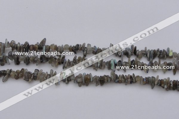 CCH646 15.5 inches 4*10mm - 6*14mm labradorite chips beads