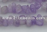 CCH648 15.5 inches 8*12mm - 10*14mm lavender amethyst chips beads