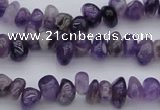 CCH649 15.5 inches 4*6mm - 5*8mm amethyst gemstone chips beads