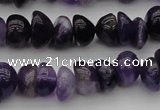 CCH650 15.5 inches 4*6mm - 5*8mm amethyst gemstone chips beads