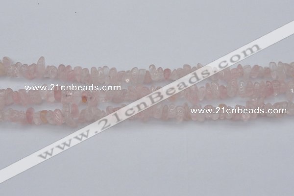 CCH653 15.5 inches 5*8mm - 6*10mm rose quartz chips beads