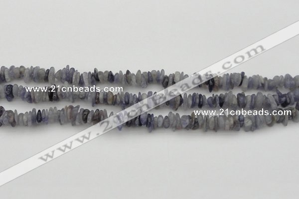 CCH658 15.5 inches 4*6mm - 5*8mm iolite gemstone chips beads