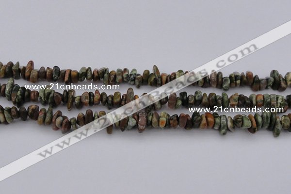 CCH662 15.5 inches 5*8mm - 6*10mm rhyolite gemstone chips beads