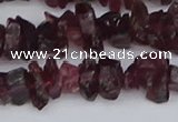 CCH704 15.5 inches 4*6mm - 6*8mm purple garnet chips beads