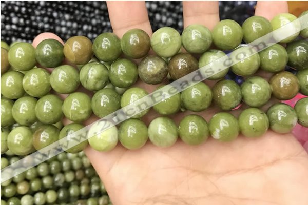 CCJ333 15.5 inches 10mm round green China jade beads wholesale