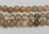 CCS302 15.5 inches 6mm round natural sunstone beads wholesale