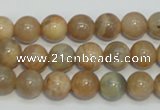 CCS304 15.5 inches 10mm round natural sunstone beads wholesale