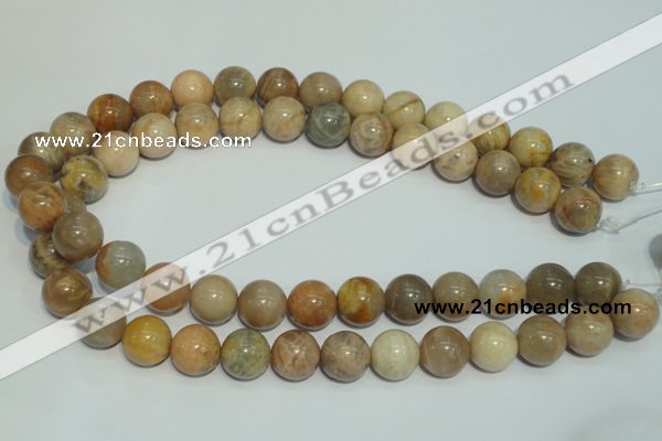 CCS306 15.5 inches 14mm round natural sunstone beads wholesale