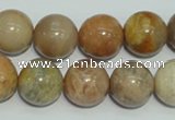 CCS307 15.5 inches 16mm round natural sunstone beads wholesale