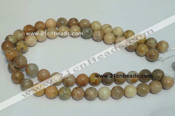 CCS308 15.5 inches 18mm round natural sunstone beads wholesale