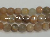 CCS311 15.5 inches 8mm faceted round natural sunstone beads