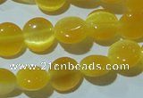 CCT455 15 inches 6mm flat round cats eye beads wholesale