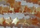 CCT808 15 inches 6mm star cats eye beads wholesale