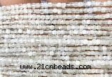 CCU1629 15 inches 2.5mm faceted cube white moonstone beads