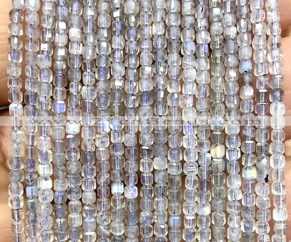 CCU1638 15 inches 2.5mm faceted cube labradorite gemstone beads