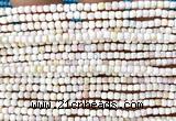 CCU1718 15 inches 2.5mm faceted cube pink queen conch shell beads
