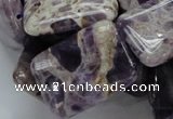 CDA07 15.5 inches 22*30mm rectangle dogtooth amethyst quartz beads