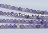 CDA50 15.5 inches 4mm round dogtooth amethyst beads wholesale