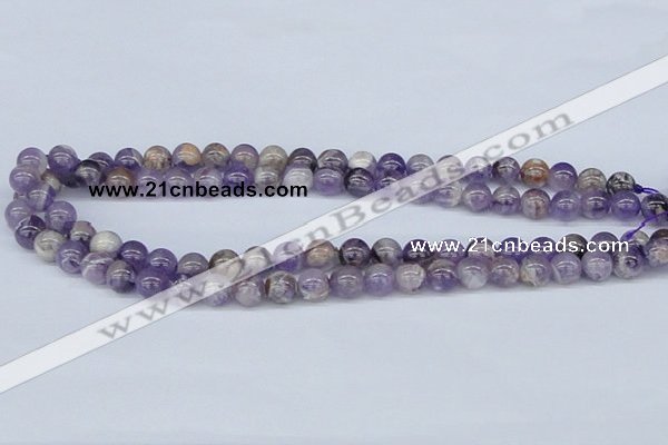 CDA52 15.5 inches 8mm round dogtooth amethyst beads wholesale