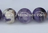 CDA56 15.5 inches 16mm round dogtooth amethyst beads wholesale