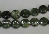 CDJ26 15.5 inches 10mm flat round Canadian jade beads wholesale