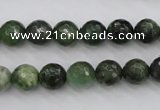 CDJ263 15.5 inches 10mm faceted round Canadian jade beads wholesale