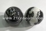 CDN1276 40mm round black & white jasper decorations wholesale