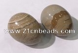 CDN1383 35*45mm egg-shaped picture jasper decorations wholesale