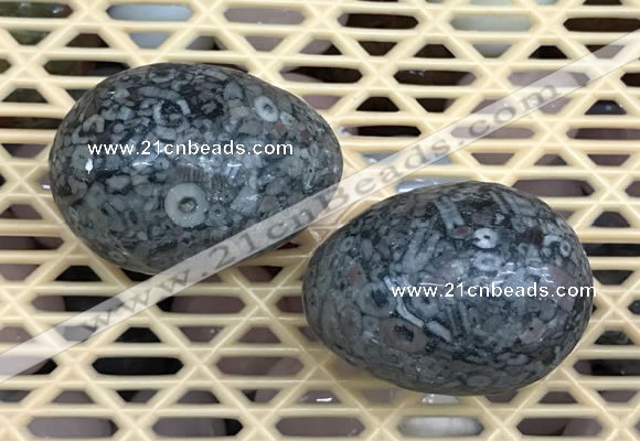 CDN347 35*50mm egg-shaped fossil jasper decorations wholesale