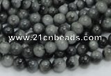 CEE02 15.5 inches 6mm round eagle eye jasper beads wholesale