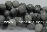 CEE05 15.5 inches 10mm round eagle eye jasper beads wholesale