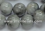 CEE06 15.5 inches 16mm round eagle eye jasper beads wholesale