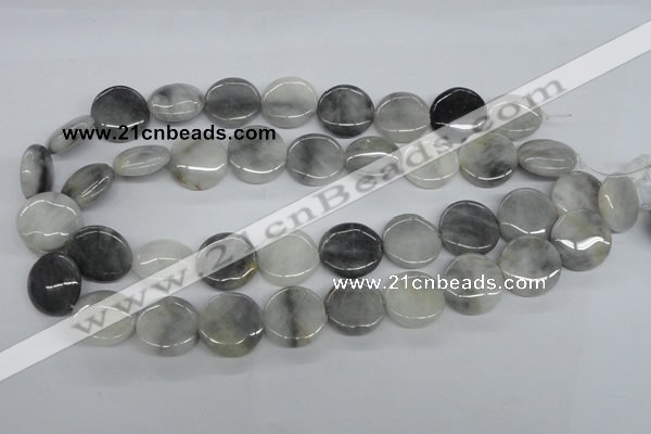 CEE203 15.5 inches 20mm flat round eagle eye jasper beads