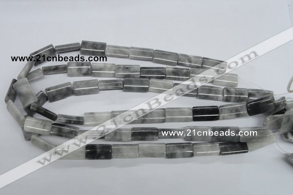CEE211 15.5 inches 12*20mm flat tube eagle eye jasper beads