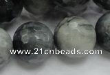 CEE25 15.5 inches 20mm faceted round eagle eye jasper beads wholesale