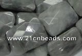 CEE35 15.5 inches 18*25mm faceted rectangle eagle eye jasper beads