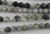 CEE351 15.5 inches 6mm faceted round eagle eye jasper beads