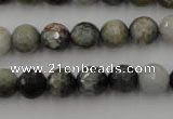 CEE353 15.5 inches 10mm faceted round eagle eye jasper beads