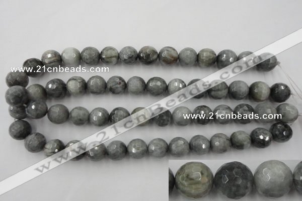 CEE355 15.5 inches 14mm faceted round eagle eye jasper beads