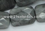 CEE36 15.5 inches 22*30mm faceted rectangle eagle eye jasper beads