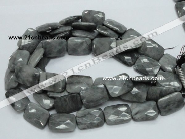 CEE36 15.5 inches 22*30mm faceted rectangle eagle eye jasper beads