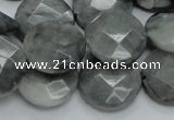 CEE38 15.5 inches 20mm faceted coin eagle eye jasper beads wholesale