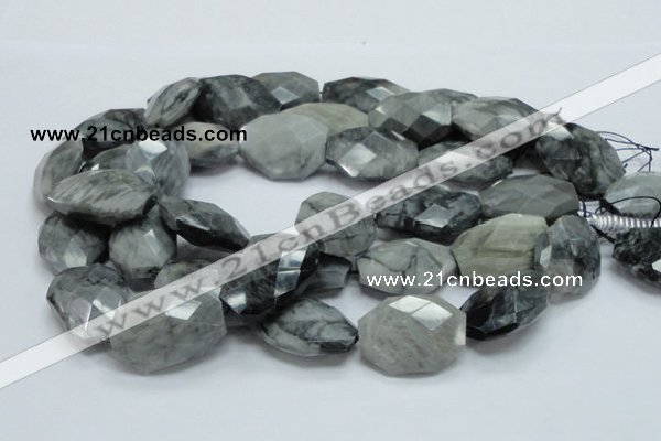 CEE46 15.5 inches 23*32mm faceted freeform eagle eye jasper beads