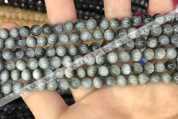 CEE510 15.5 inches 6mm round eagle eye jasper beads