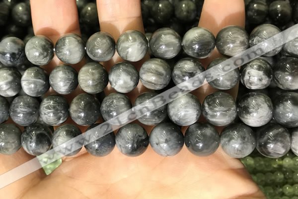 CEE521 15.5 inches 10mm round eagle eye jasper beads wholesale