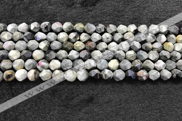 CEE530 15.5 inches 6mm faceted nuggets eagle eye jasper beads