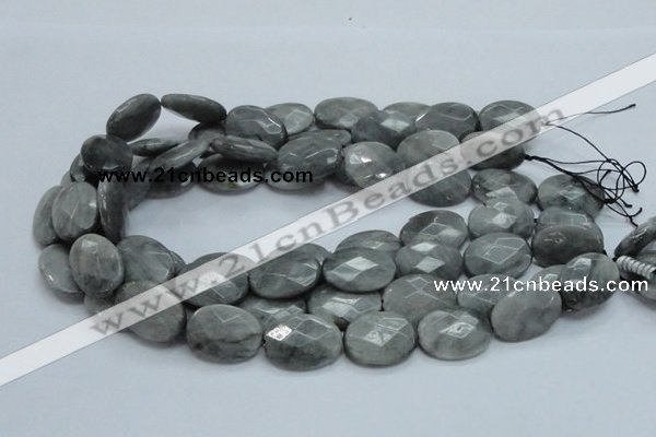 CEE55 15.5 inches 15*30mm faceted oval eagle eye jasper beads